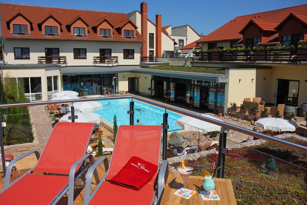 Ringhotel Hotel Zum Stein Oranienbaum-Woerlitz Bagian luar foto
